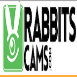 RabbitsCams.com