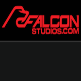 FalconStudios.com